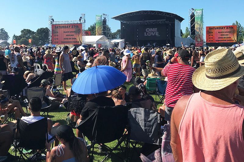 One Love Festival crowd